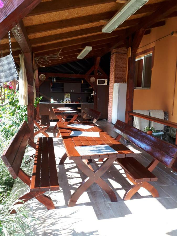 Pensiunea Sonia Cartisoara Luaran gambar